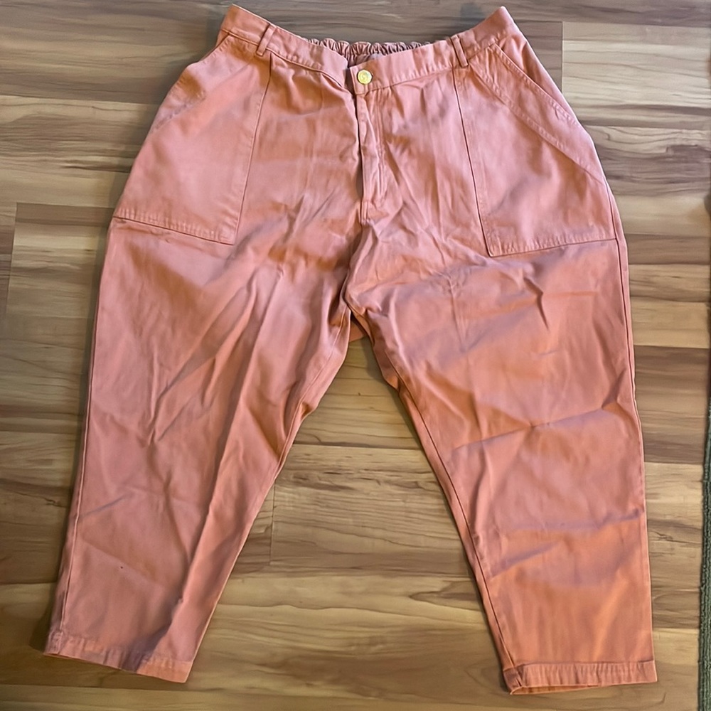 Big Bud Press Pencil Pants Clay Red - 2XL Petite